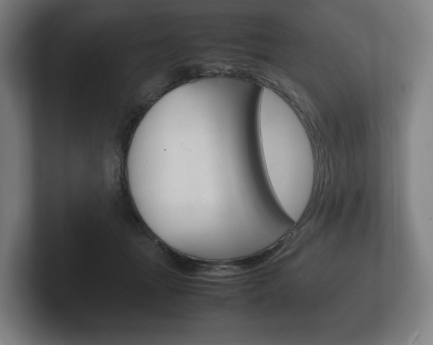 X0000102260463200807250841