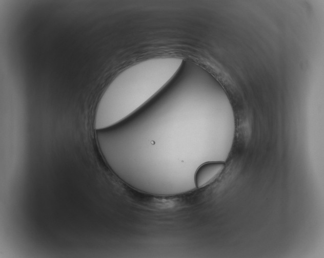X0000102260469200807250841