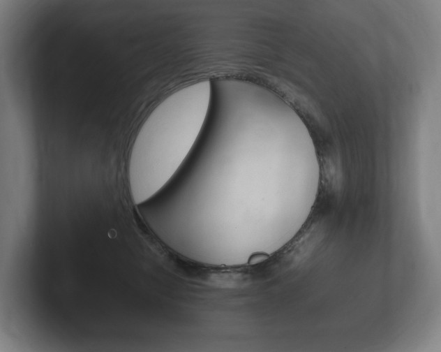 X0000102260470200807250841