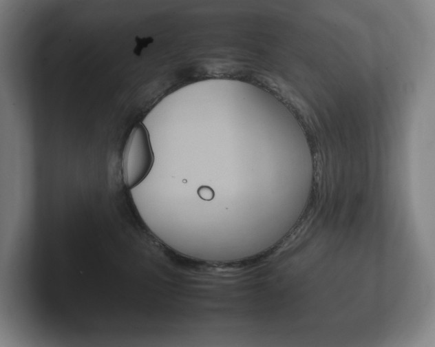 X0000102260471200807250841