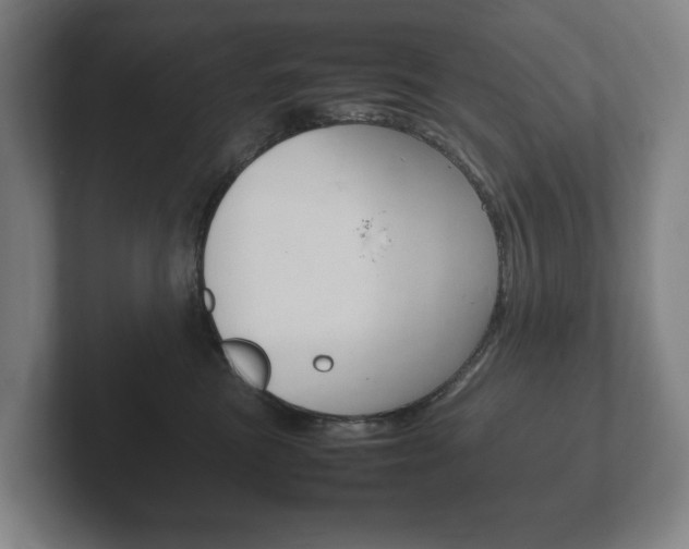 X0000102260473200807250841