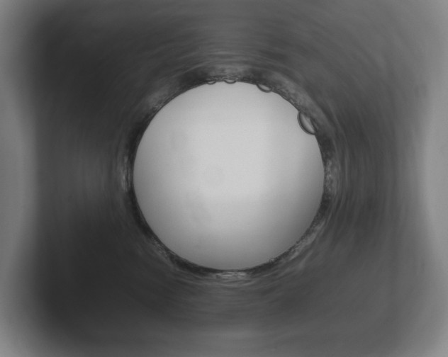 X0000102260474200807250841