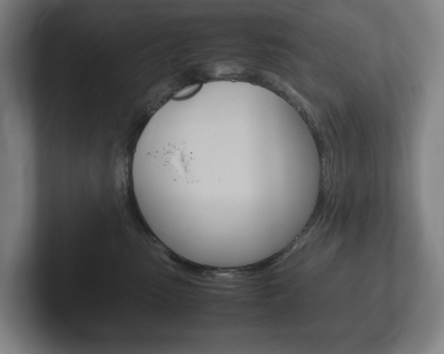 X0000102260475200807250841