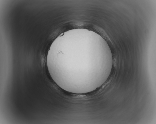 X0000102260476200807250841