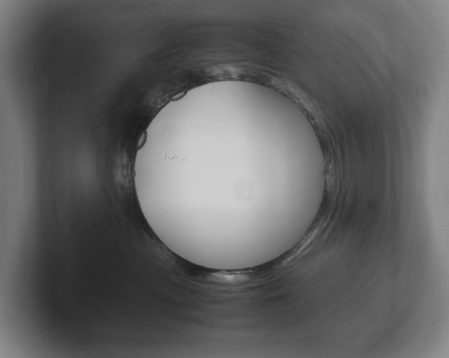 X0000102260477200807250841