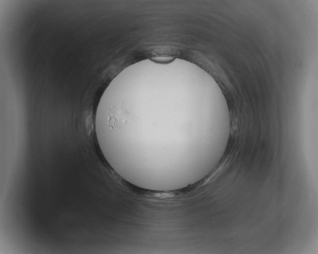 X0000102260478200807250841