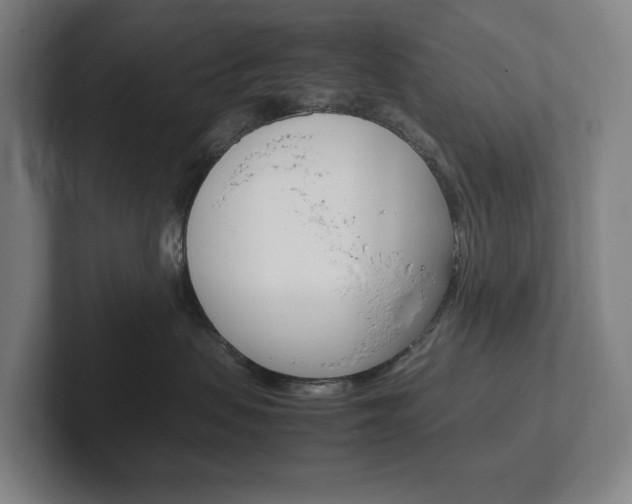 X0000102260479200807250841