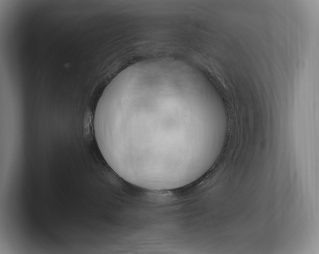 X0000102260480200807250841