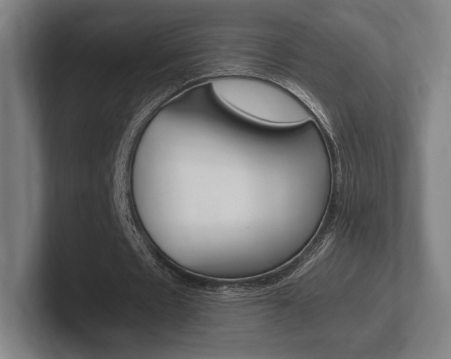 X0000102260481200807250841