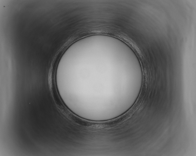 X0000102260482200807250841