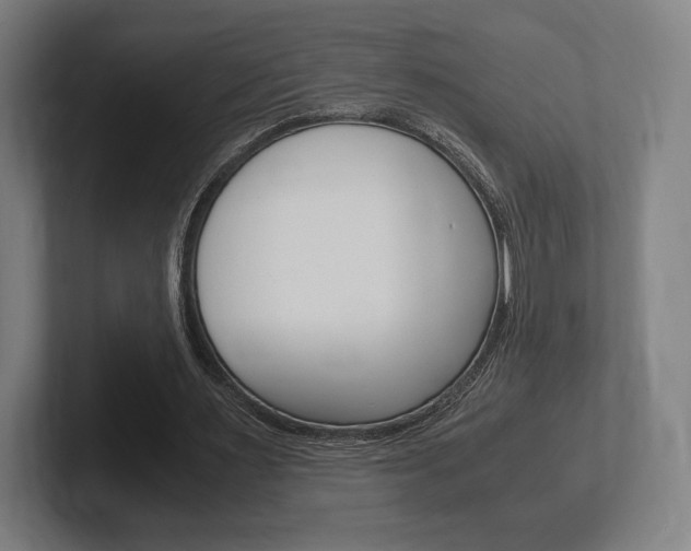 X0000102260483200807250841