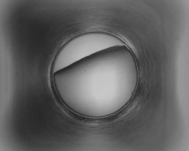 X0000102260485200807250841