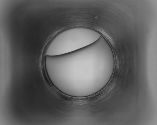 X0000102260486200807250841