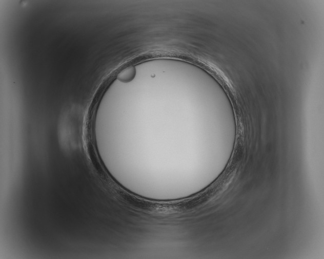 X0000102260487200807250841