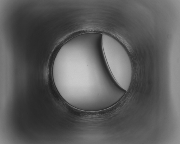 X0000102260488200807250841