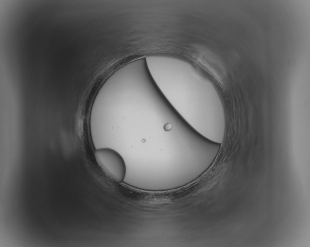 X0000102260491200807250841
