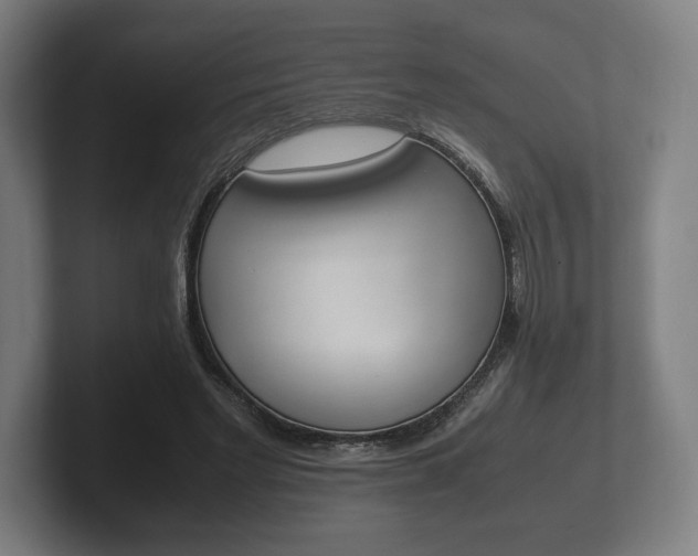 X0000102260493200807250841