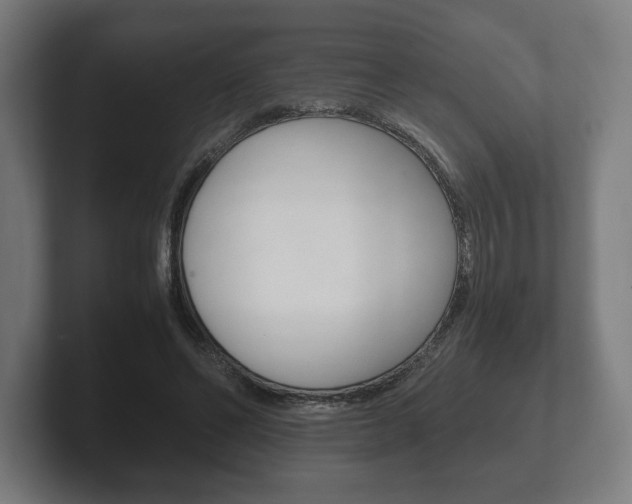 X0000102260494200807250841