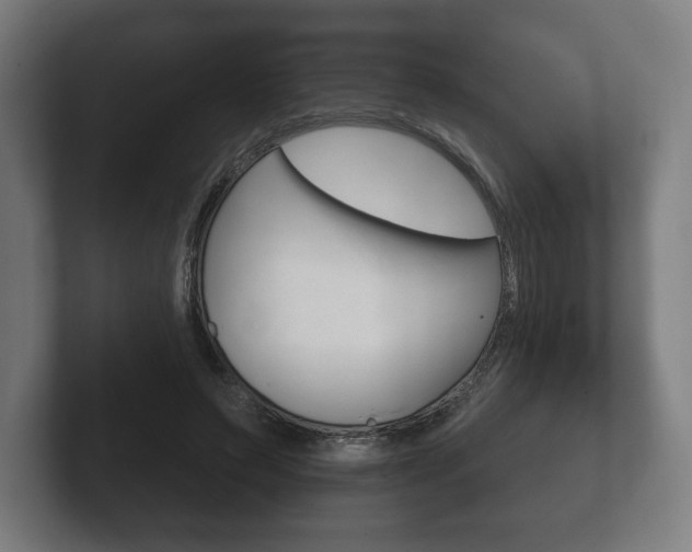 X0000102260495200807250841