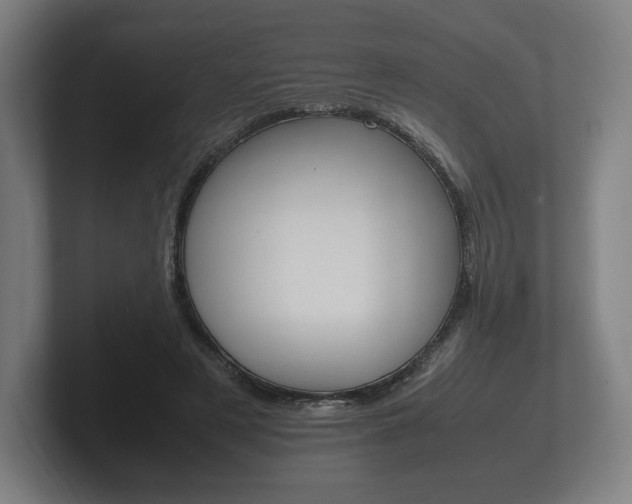 X0000102260497200807250841