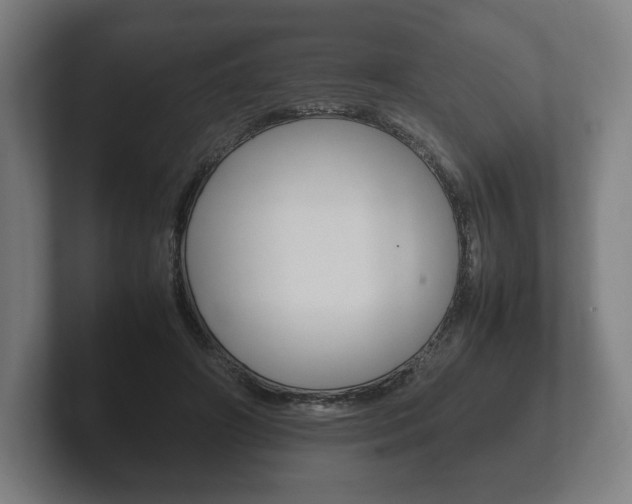 X0000102260498200807250841