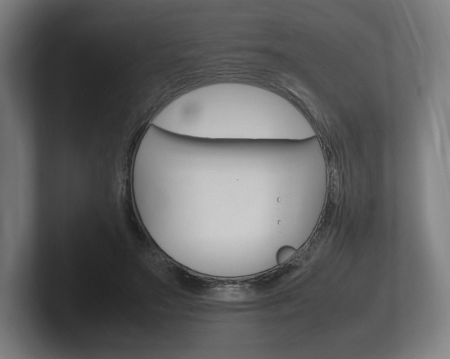 X0000102260499200807250840