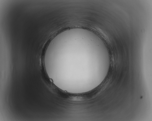 X0000102260500200807250840