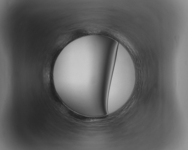 X0000102260501200807250840