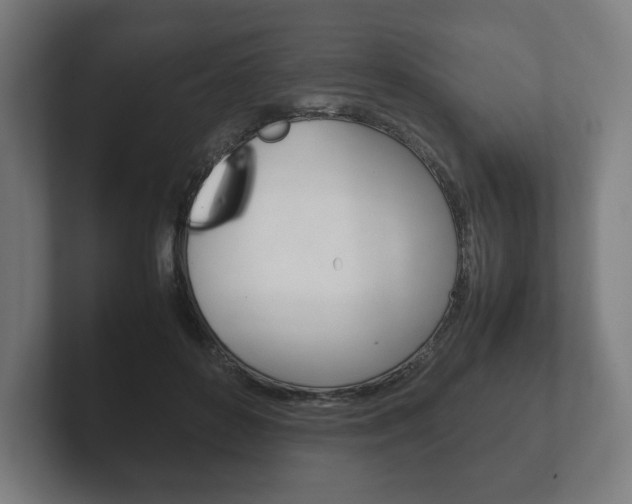 X0000102260504200807250840