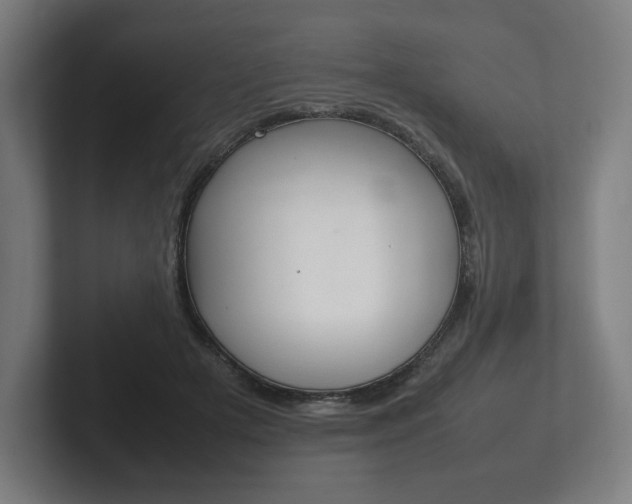 X0000102260505200807250840
