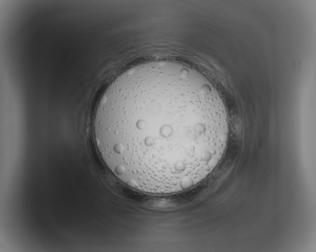 X0000102260507200807250840