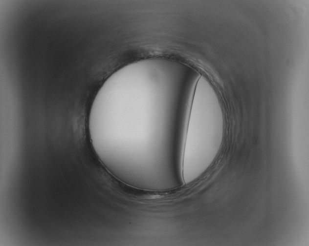 X0000102260509200807250840