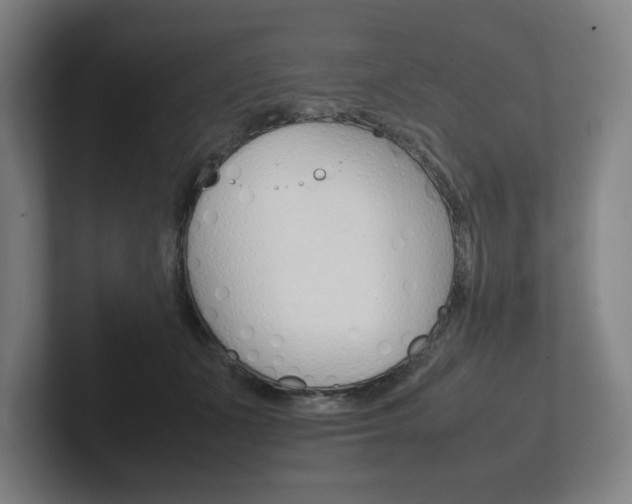 X0000102260511200807250840