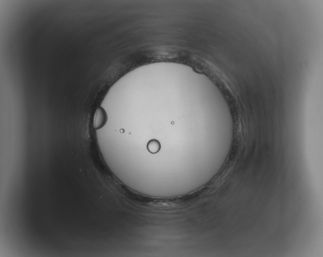 X0000102260512200807250840
