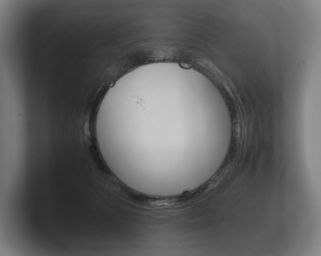 X0000102260516200807250840