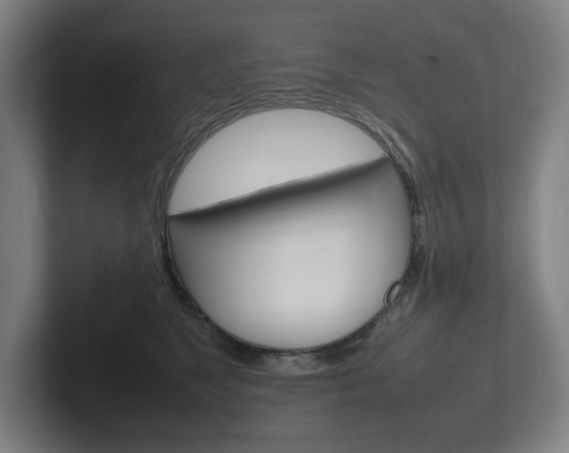 X0000102260517200807250840