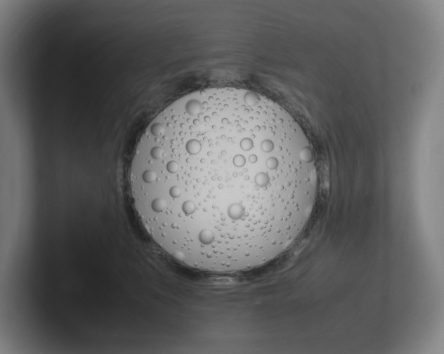 X0000102260519200807250840