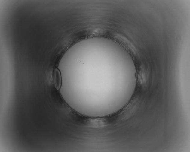 X0000102260520200807250840
