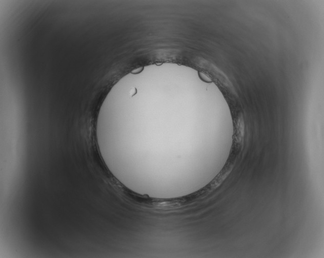 X0000102260522200807250840