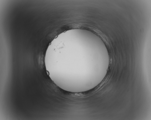 X0000102260525200807250840
