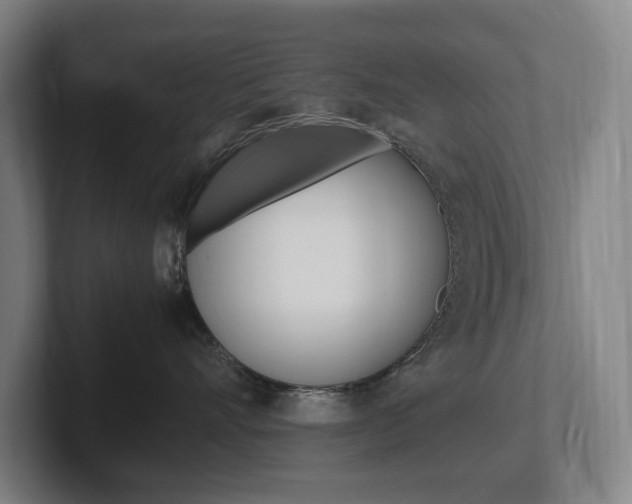 X0000102260528200807250840