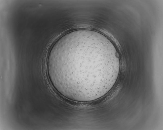 X0000102260529200807250839