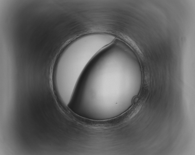 X0000102260530200807250840