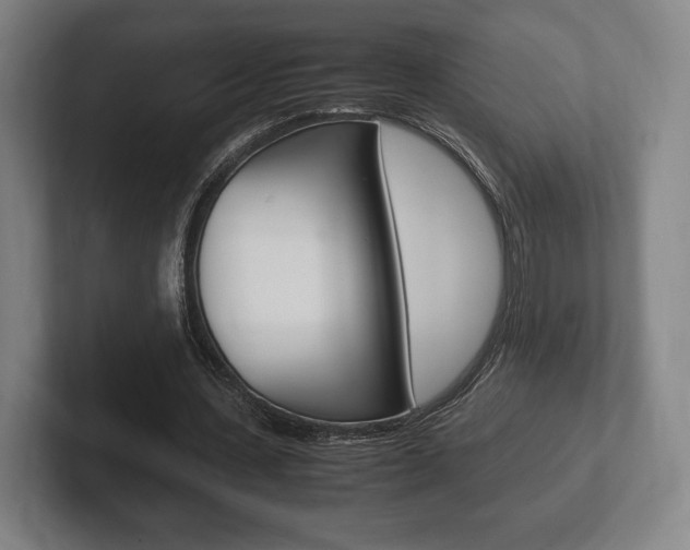 X0000102260531200807250840