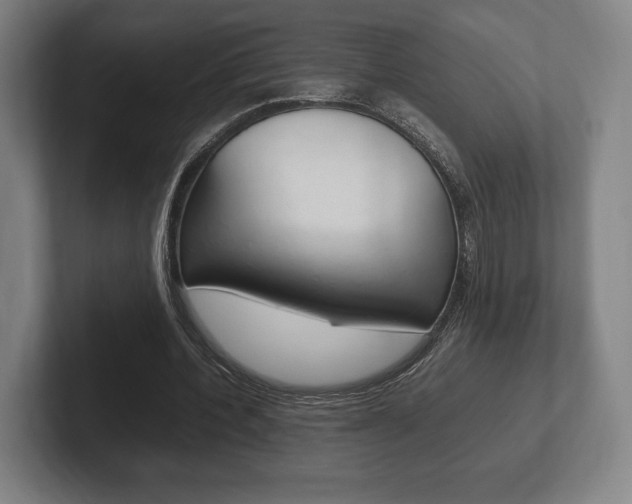 X0000102260532200807250840