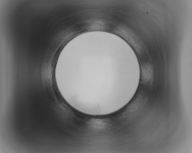 X0000102260534200807250840