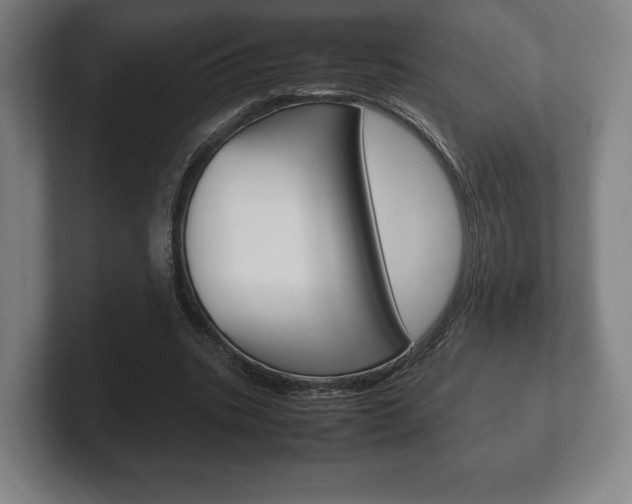 X0000102260535200807250840
