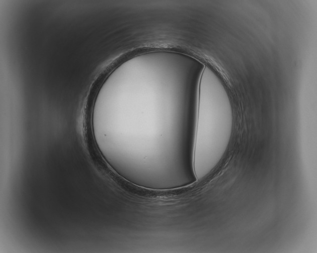 X0000102260536200807250840