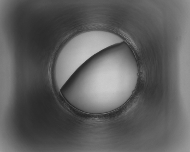 X0000102260538200807250840