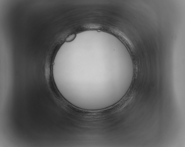 X0000102260541200807250840